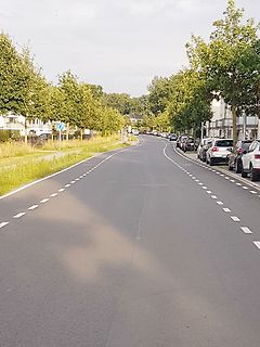 Straße mit parkenden Autos und Bäumen