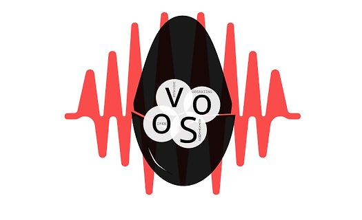 Logo mit Wellenform und Text VOOS