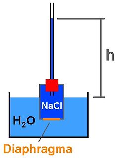Skizze eines Versuchsaufbaus mit NaCl-Lösung und Diaphragma