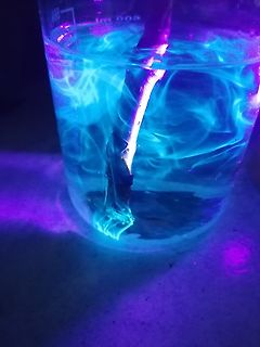 Fluoreszierende Flüssigkeit in einem Becherglas unter UV-Licht
