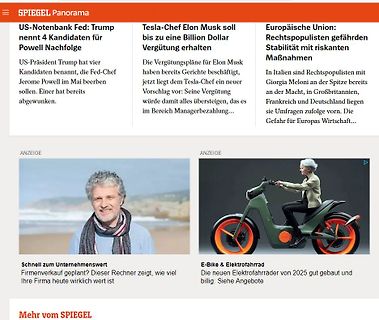 Screenshot eines Nachrichtenportals von SPIEGEL Panorama