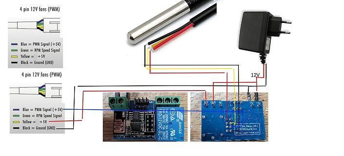 Verdrahtung eines 12V PWM Lüfters mit Netzteil und Platine