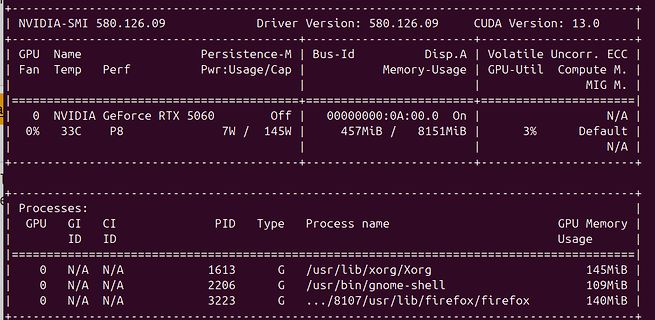 NVIDIA-SMI GPU Status Anzeige