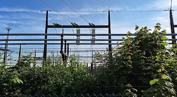 Hochspannungsmast und Leitungen hinter Gebüsch