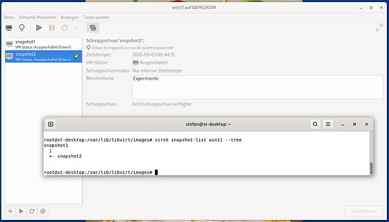 QEMU/KVM Snapshot Management und Terminal-Ausgabe