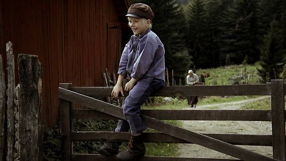 Junge auf Holzzaun sitzend