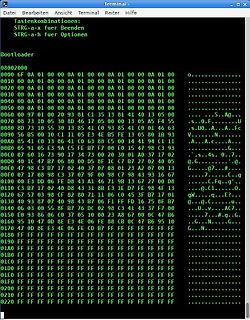 Hex-Editor Ansicht eines Bootloaders