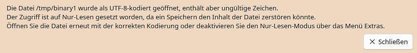 Fehlermeldung beim Öffnen einer Datei