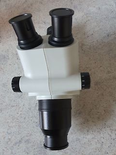 Binokulares Mikroskop