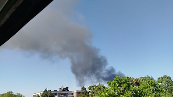 Rauchwolke am Himmel über Bäumen