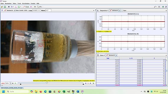 Tracker Software Analyse von Bewegungsdaten