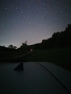 Sternenhimmel über Waldrand