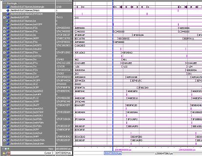 Screenshot eines Logikanalysators mit digitalen Signalen