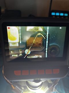 Abfotografierter Bildschirm eines digitalen Mikroskops