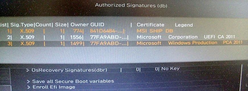 Foto eines Computerbildschirms mit UEFI Secure Boot Einstellungen