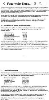 Textauszug aus einer Satzung der Feuerwehr