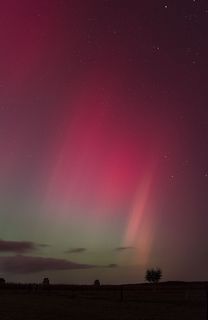 Rosa Nordlicht über dunkler Landschaft