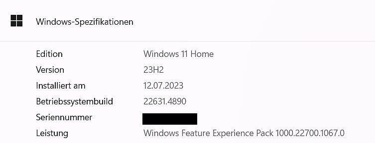Windows 11 Home Systeminformationen