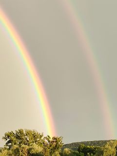Doppelter Regenbogen über Bäumen