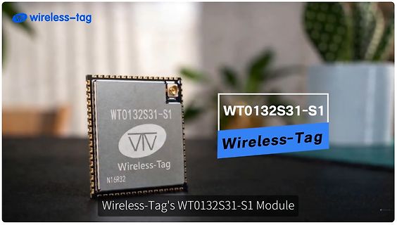 Wireless-Tag WT0132S31-S1 Modul