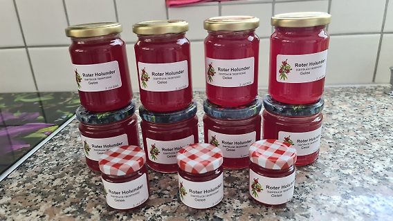Gläser mit Roter Holunder Gelee