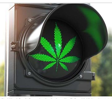 Ampel mit Cannabisblatt als grünes Licht