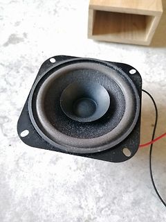 Lautsprecher mit Anschlusskabeln