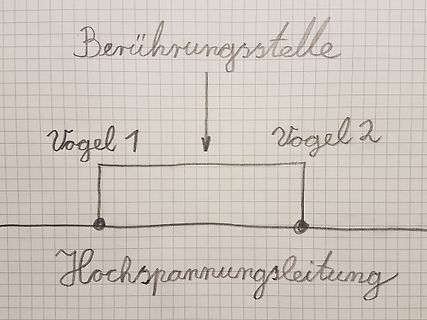 Skizze eines Stromflusses zwischen zwei Vögeln und einer Hochspannungsleitung