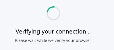 Verifizierungsbildschirm einer Website