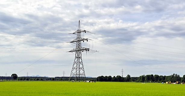 Hochspannungsmast in einer grünen Landschaft