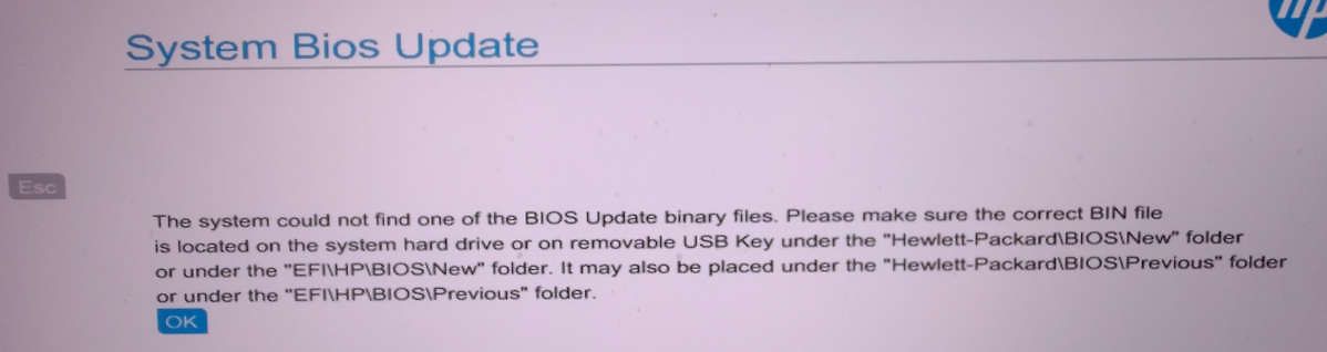 Abfotografierte Fehlermeldung eines BIOS-Updates