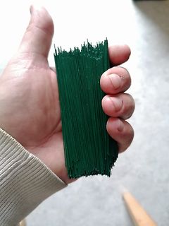 Hand hält ein Bündel grüner Stäbe