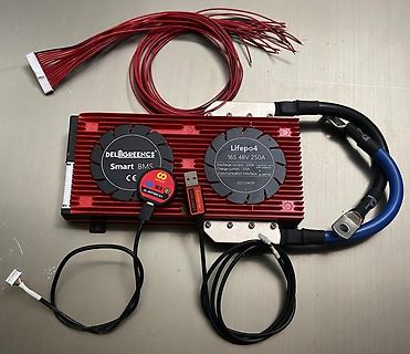 Deligreencs Smart BMS für LiFePO4 Akkus