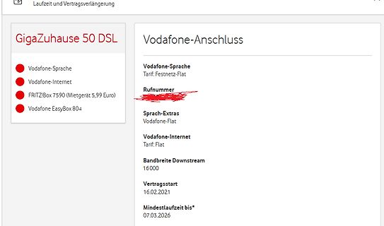 Vertragsdetails Vodafone-Anschluss