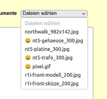 Dropdown-Menü zur Dateiauswahl