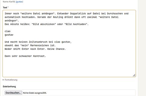 Screenshot eines Forenbeitrags mit Textfeedback