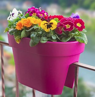 Bunter Blumenkasten am Balkongeländer