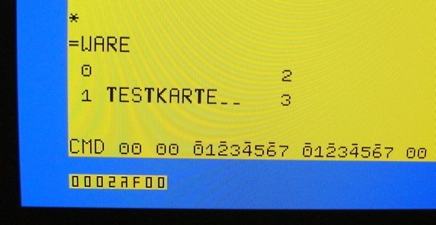 Abfotografierter Bildschirm mit Text und Hexadezimalwerten