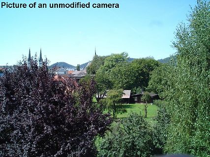 Landschaft mit Bäumen und Gebäuden