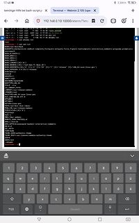 Screenshot eines Terminal-Fensters mit Linux-Systeminformationen