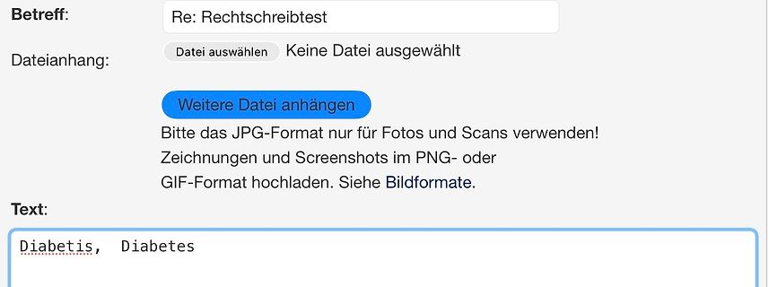 E-Mail Interface mit Rechtschreibtest