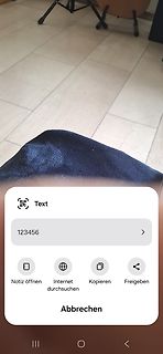 Google Lens Text-Erkennung auf Smartphone