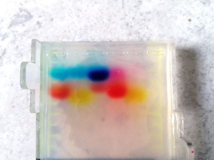 Gelelektrophorese-Gel mit farbigen Banden