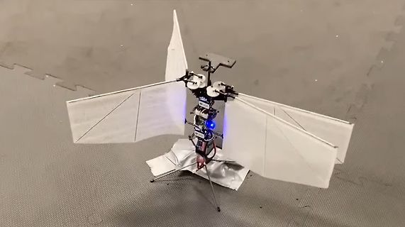 Roboter mit Flügeln auf Untergrund