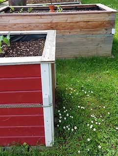 Hochbeete im Garten