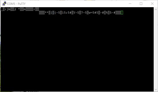 PuTTY Terminal-Fenster mit kryptischen Zeichenfolgen