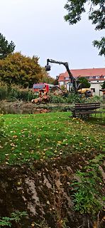 Baumfällarbeiten mit Bagger und Feuerwehr im Hintergrund