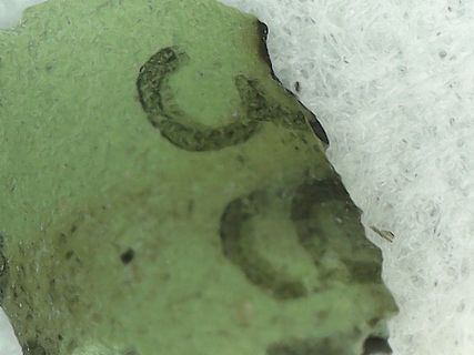 Makroaufnahme einer Beschriftung auf grünem Material