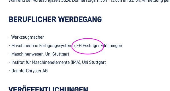 Ausschnitt eines Lebenslaufs mit beruflichem Werdegang