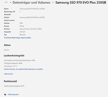 Software-Anzeige von SSD-Informationen